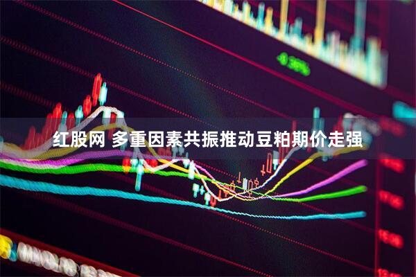 红股网 多重因素共振推动豆粕期价走强